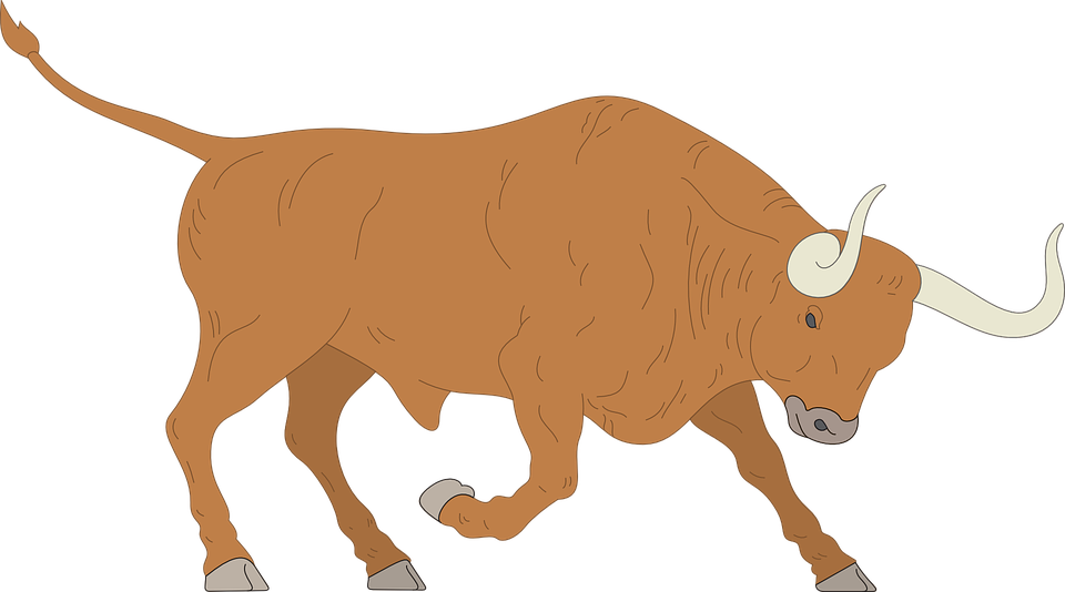 Photos Vector Bull PNG File HD PNG Image