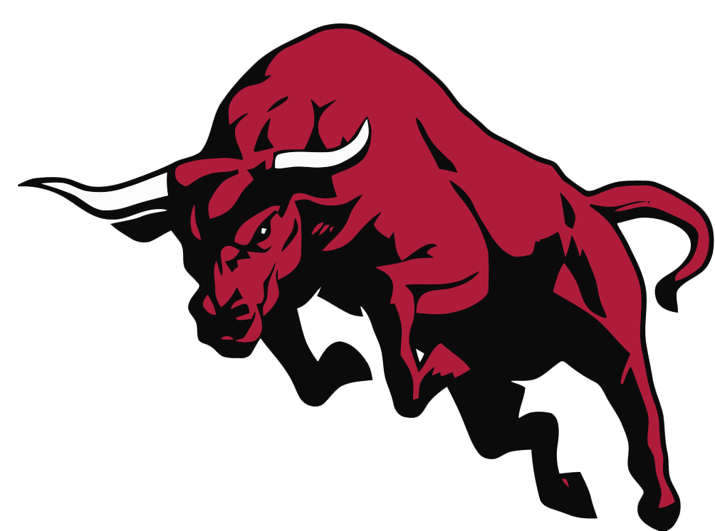 Bull Image PNG Image