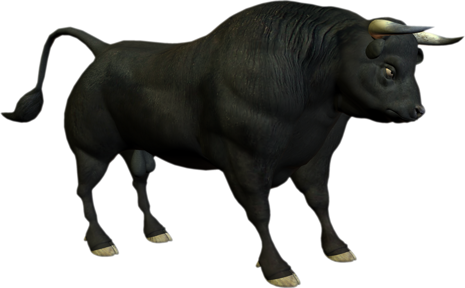 Bull Photo PNG Image