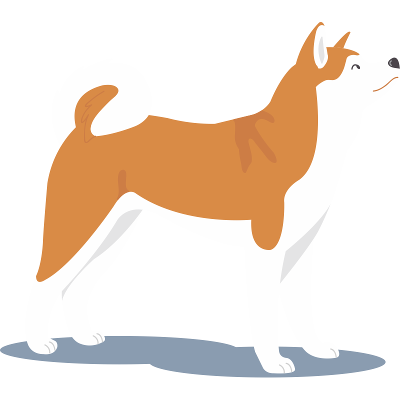 Dobermann Chihuahua Bulldog Inu Pug Poodle Akita PNG Image