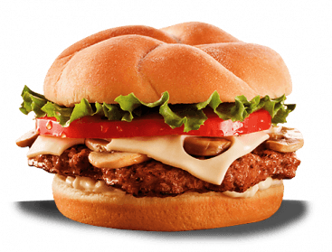 Hamburger Burger Png Image PNG Image