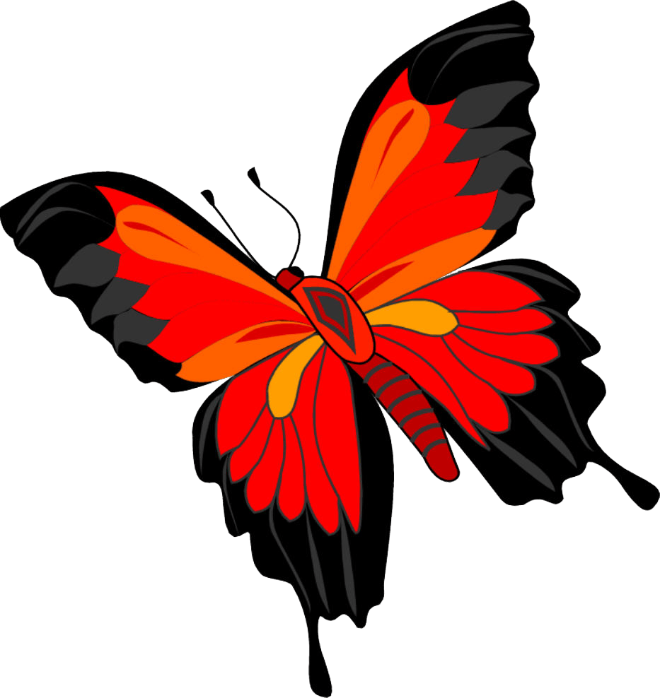 Butterfly Png Image PNG Image