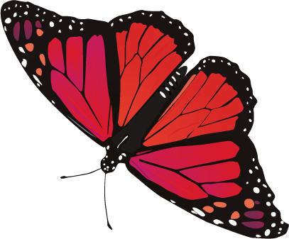 Butterfly Png Image PNG Image