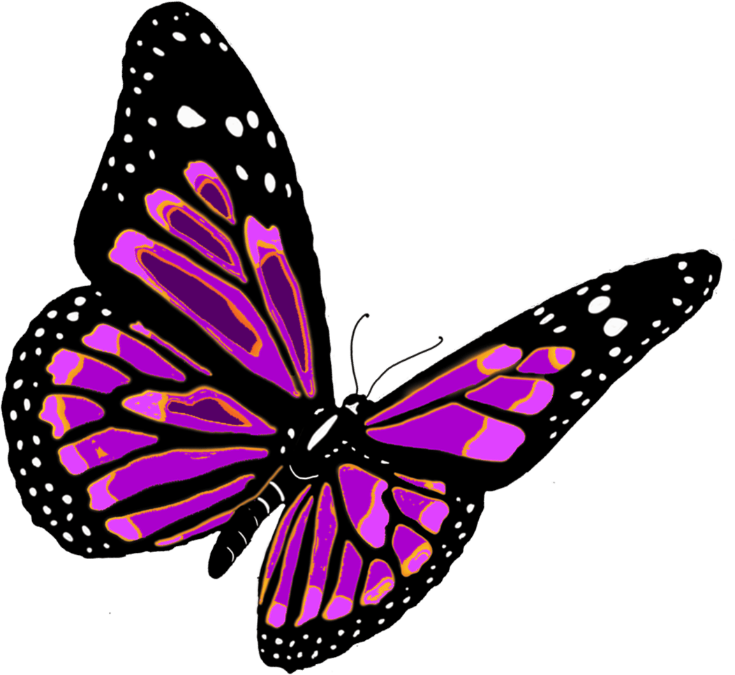 Flying Butterfly Png Image PNG Image