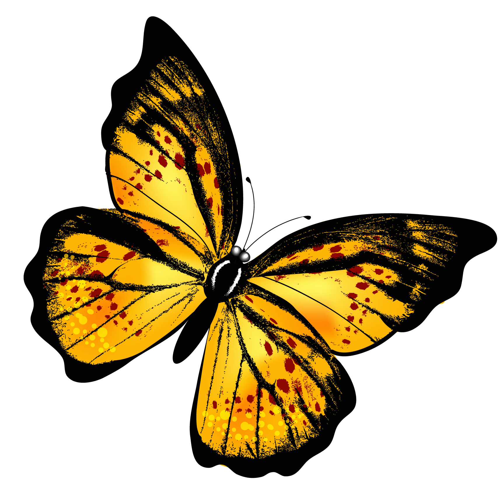 Yellow Butterfly PNG Image