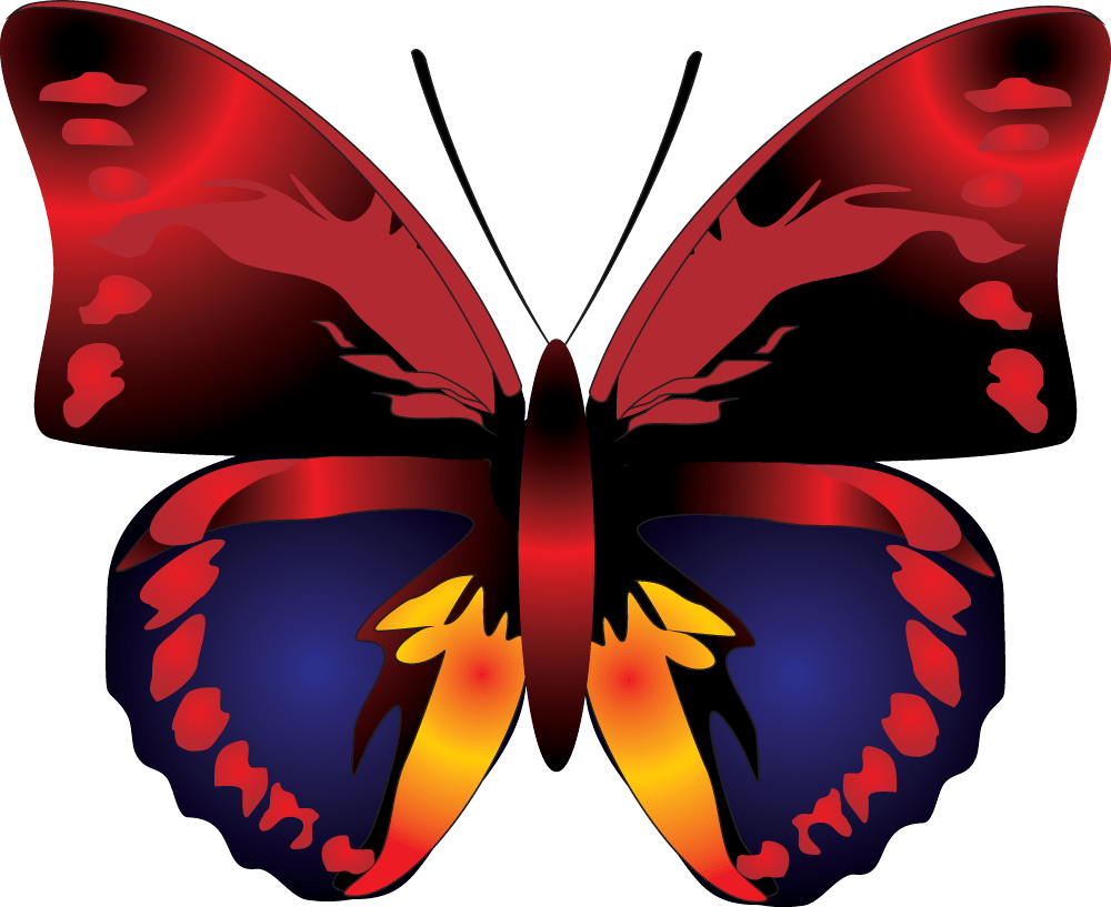 Butterfly Png Image PNG Image