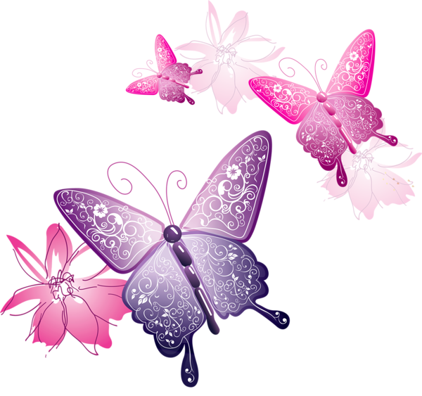 Pink Butterfly PNG Image