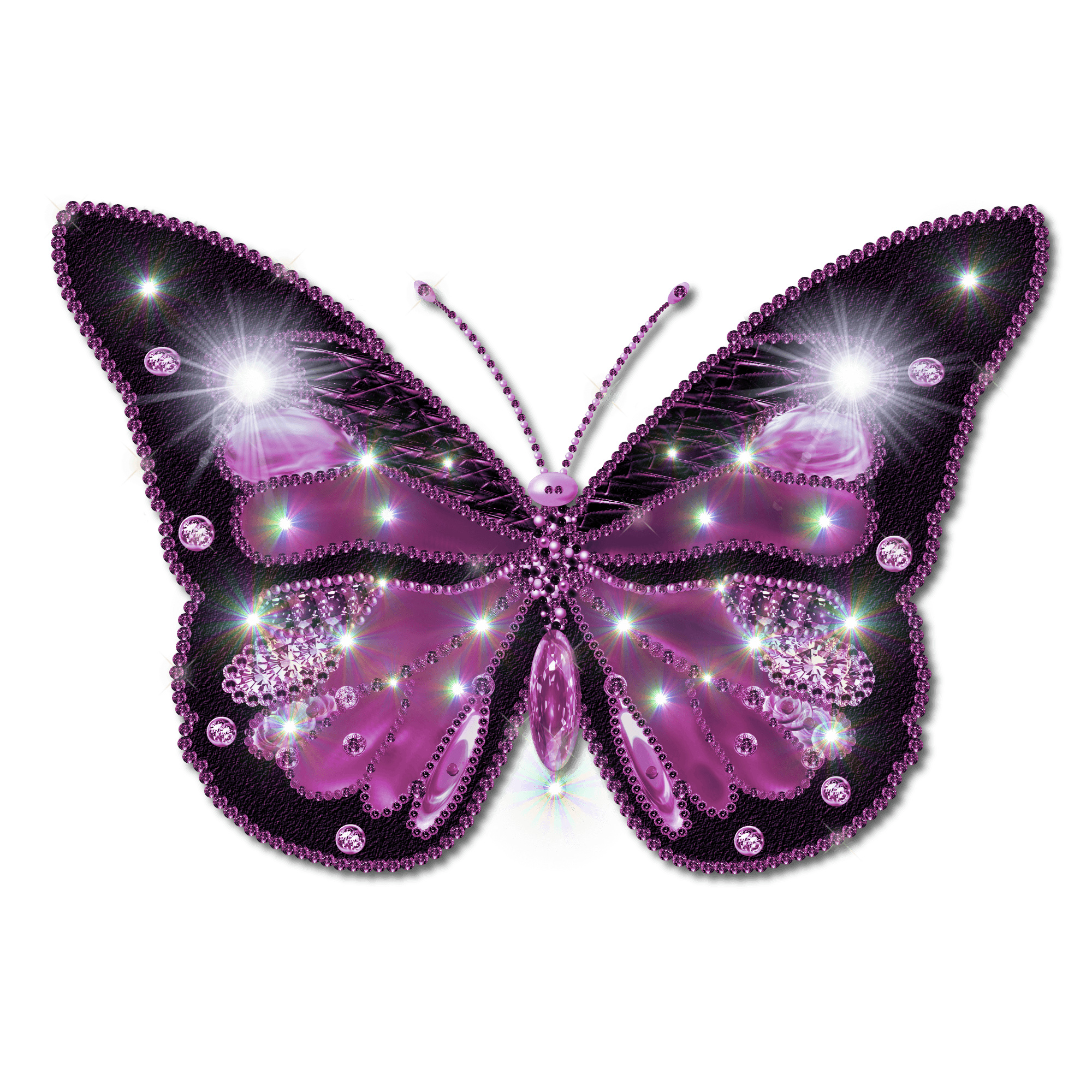 Butterfly Png Image PNG Image