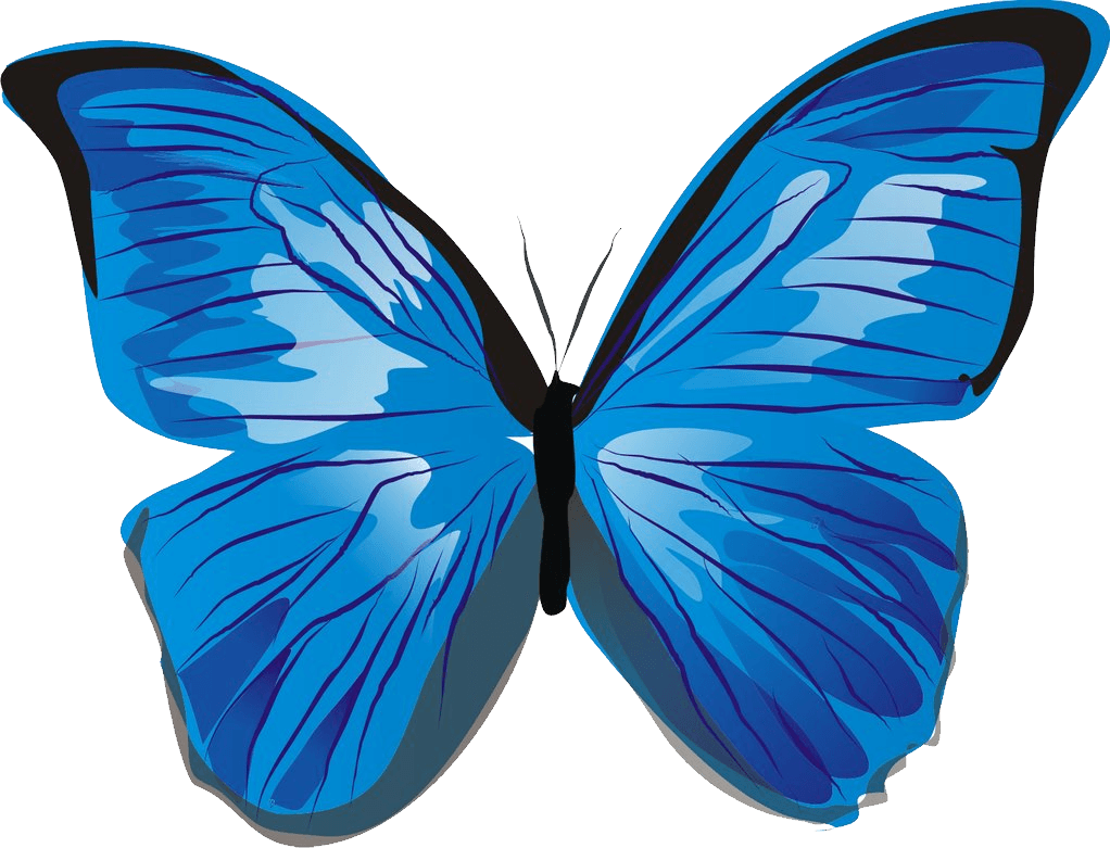 Blue Butterfly Png Image PNG Image