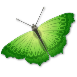 Butterfly Png Image PNG Image