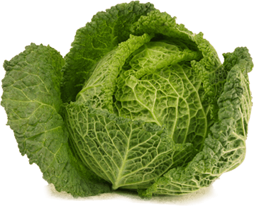 Cabbage Png Image PNG Image