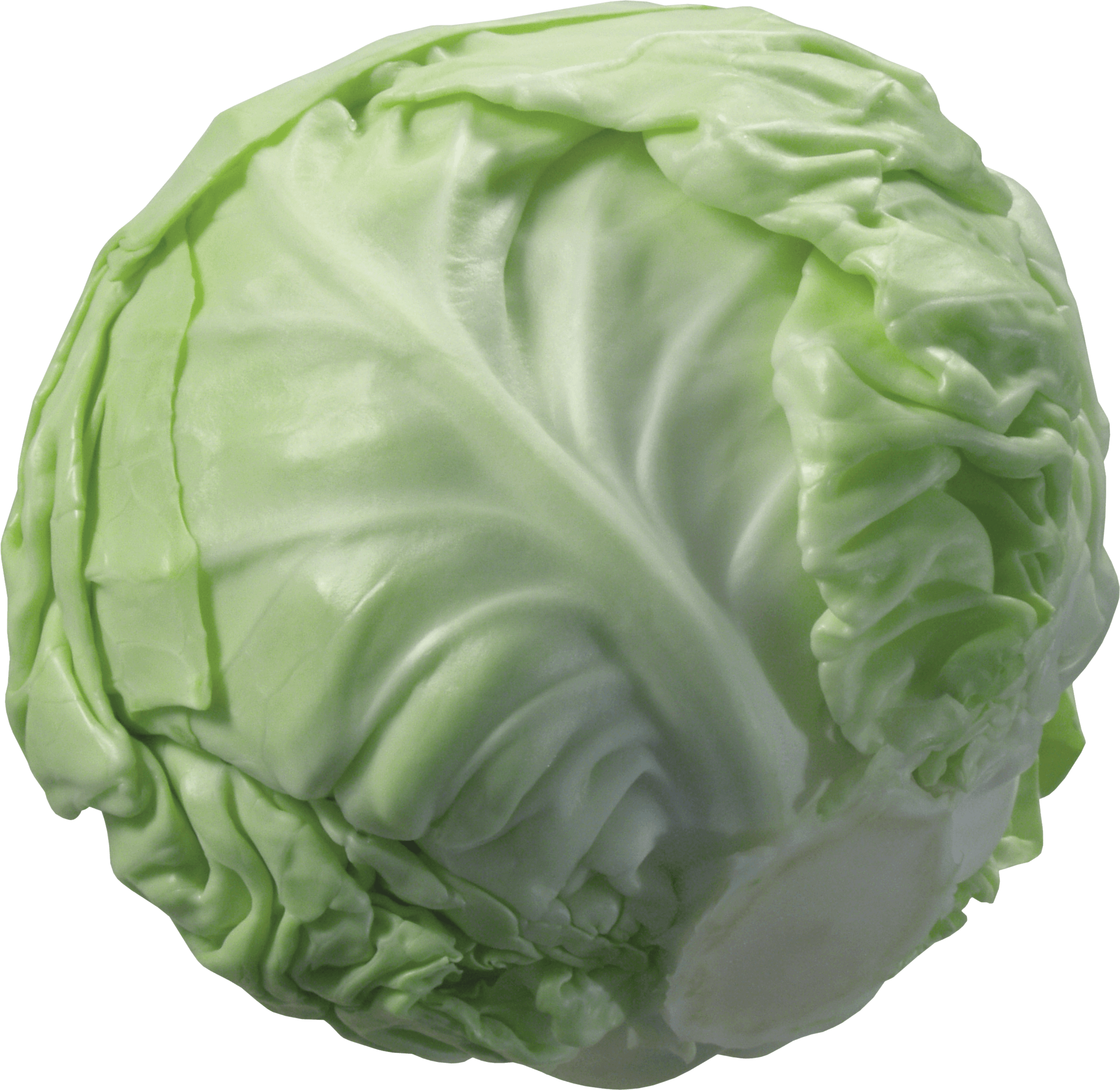 Cabbage Png Image PNG Image