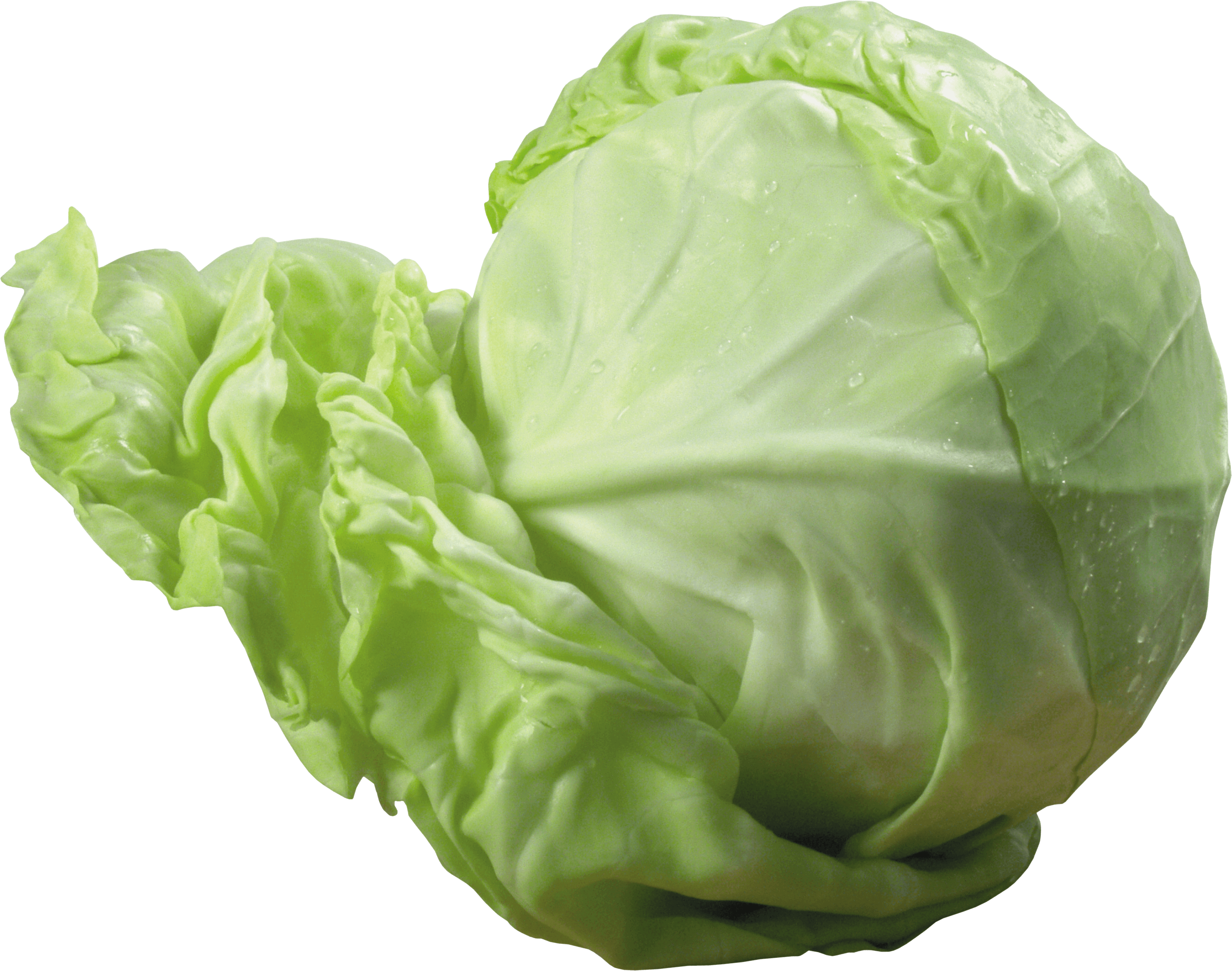 Cabbage Png Image PNG Image