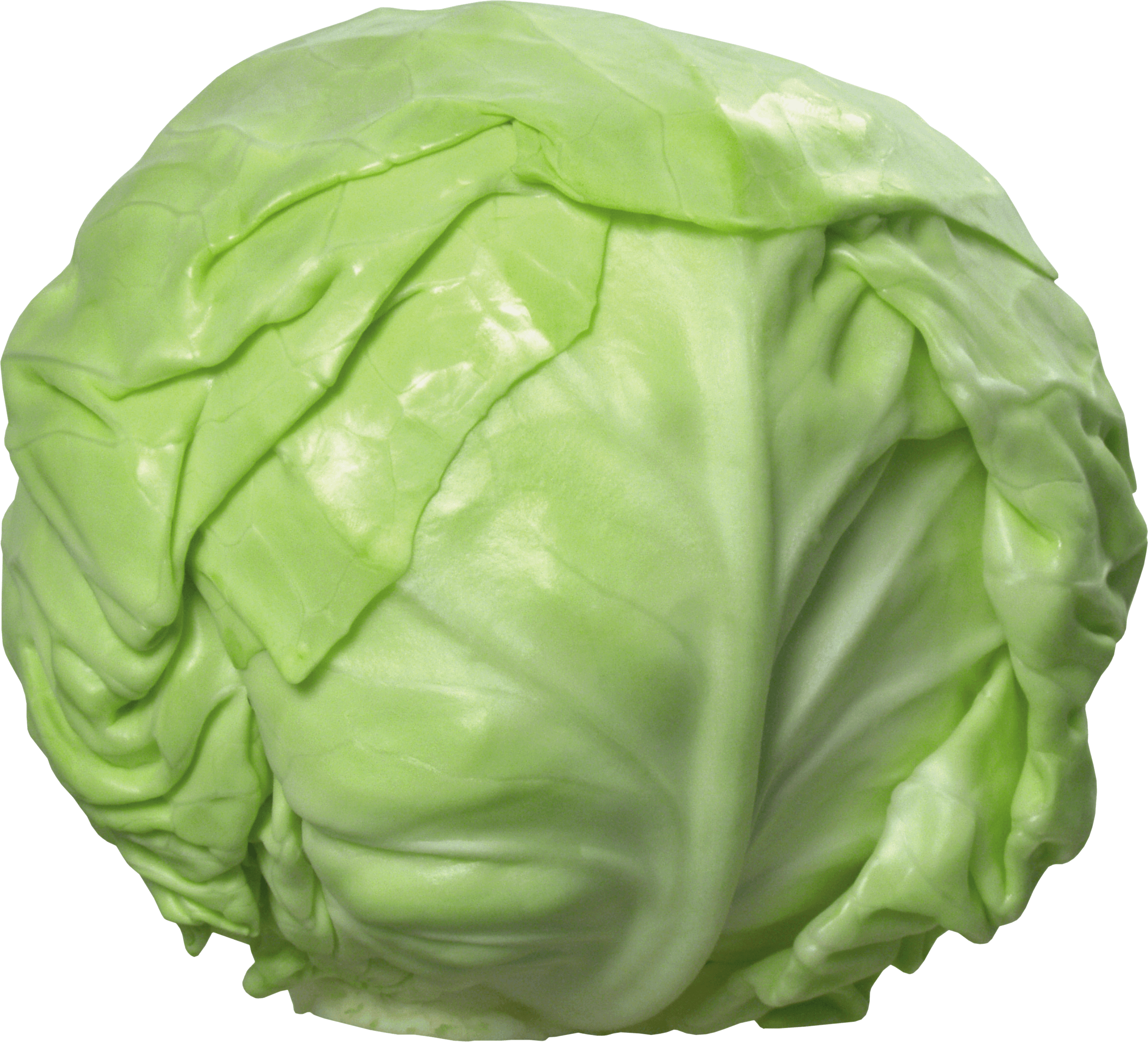 Cabbage Png Image PNG Image