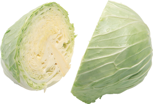 Cabbage Half Free HD Image PNG Image