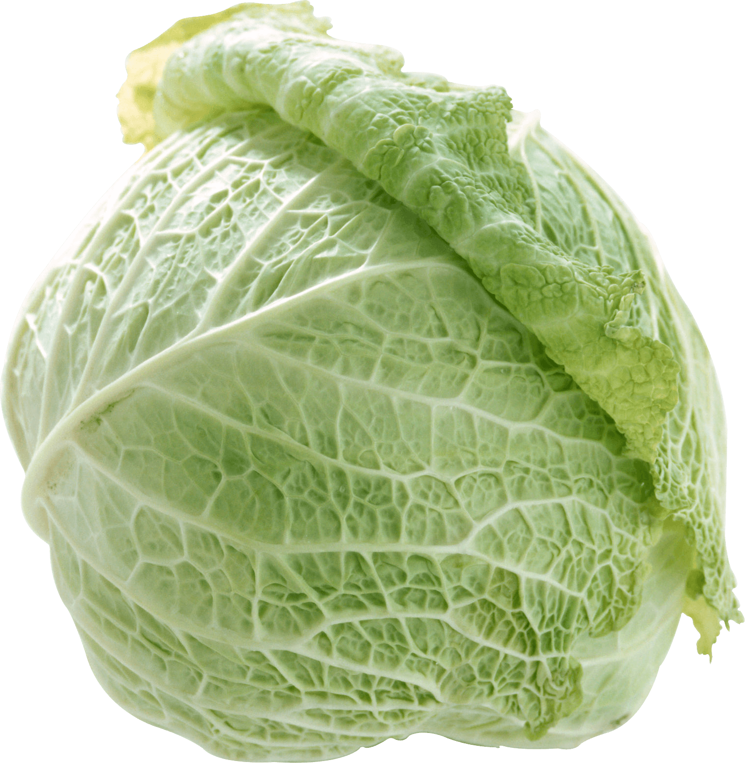 Cabbage Png Image PNG Image