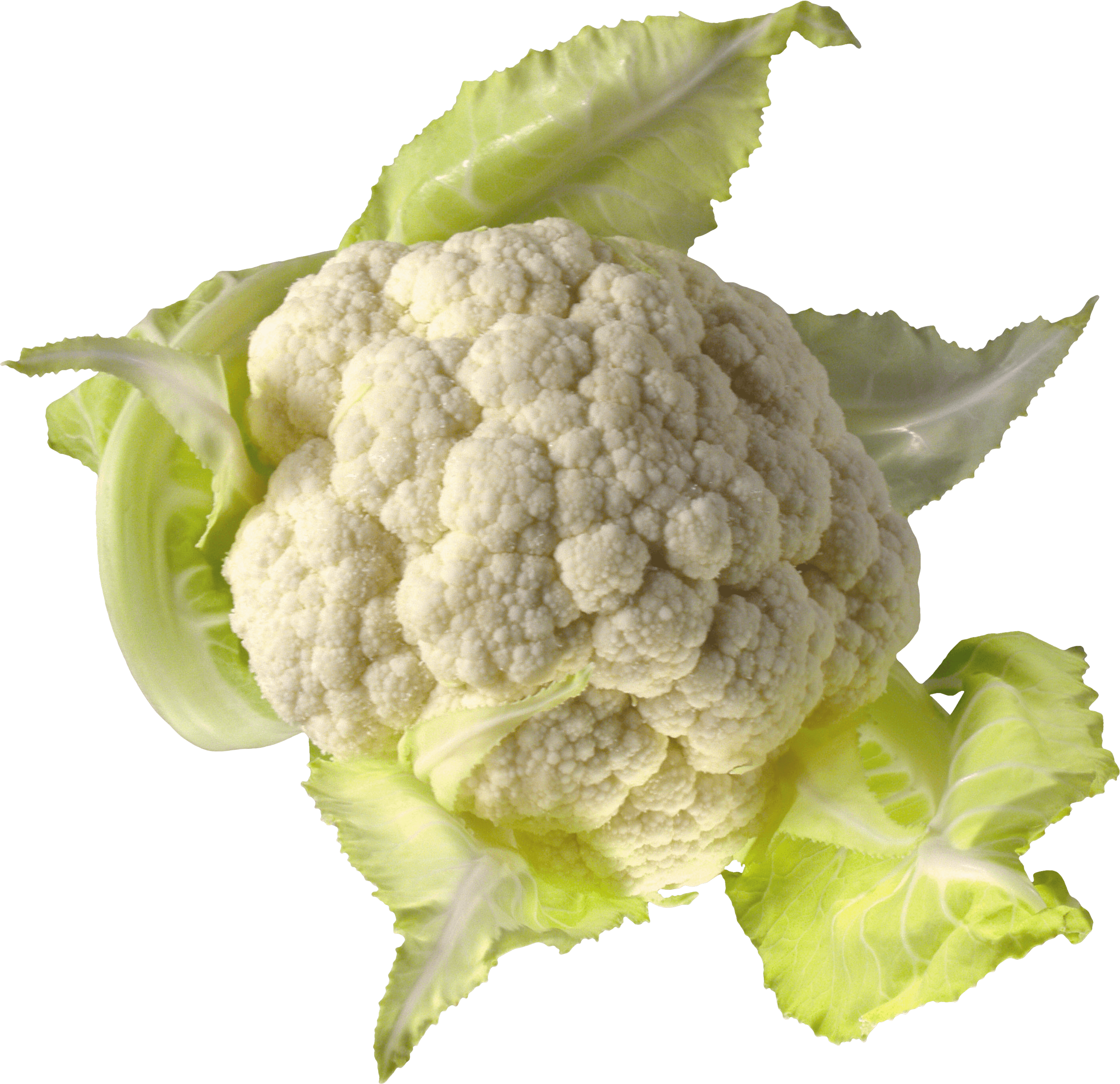 Cauliflower Png Image PNG Image