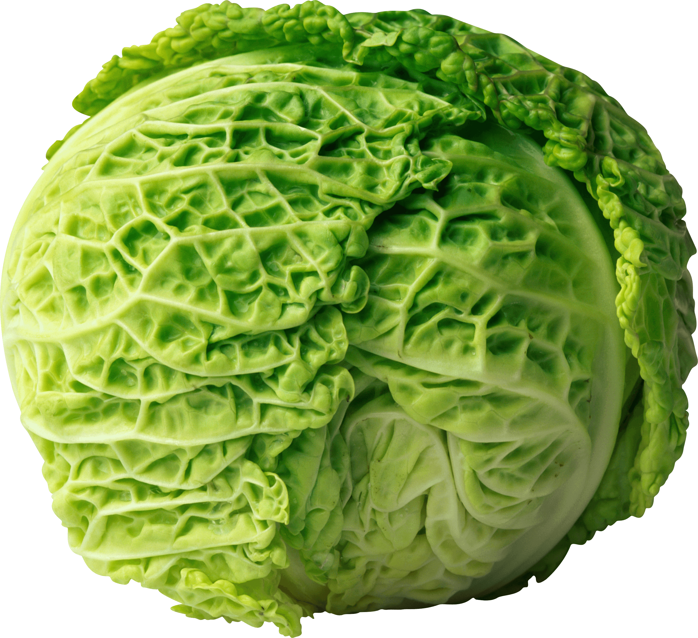 Cabbage Png Image PNG Image