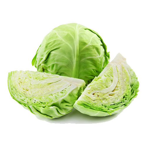 Cabbage Picture PNG Image