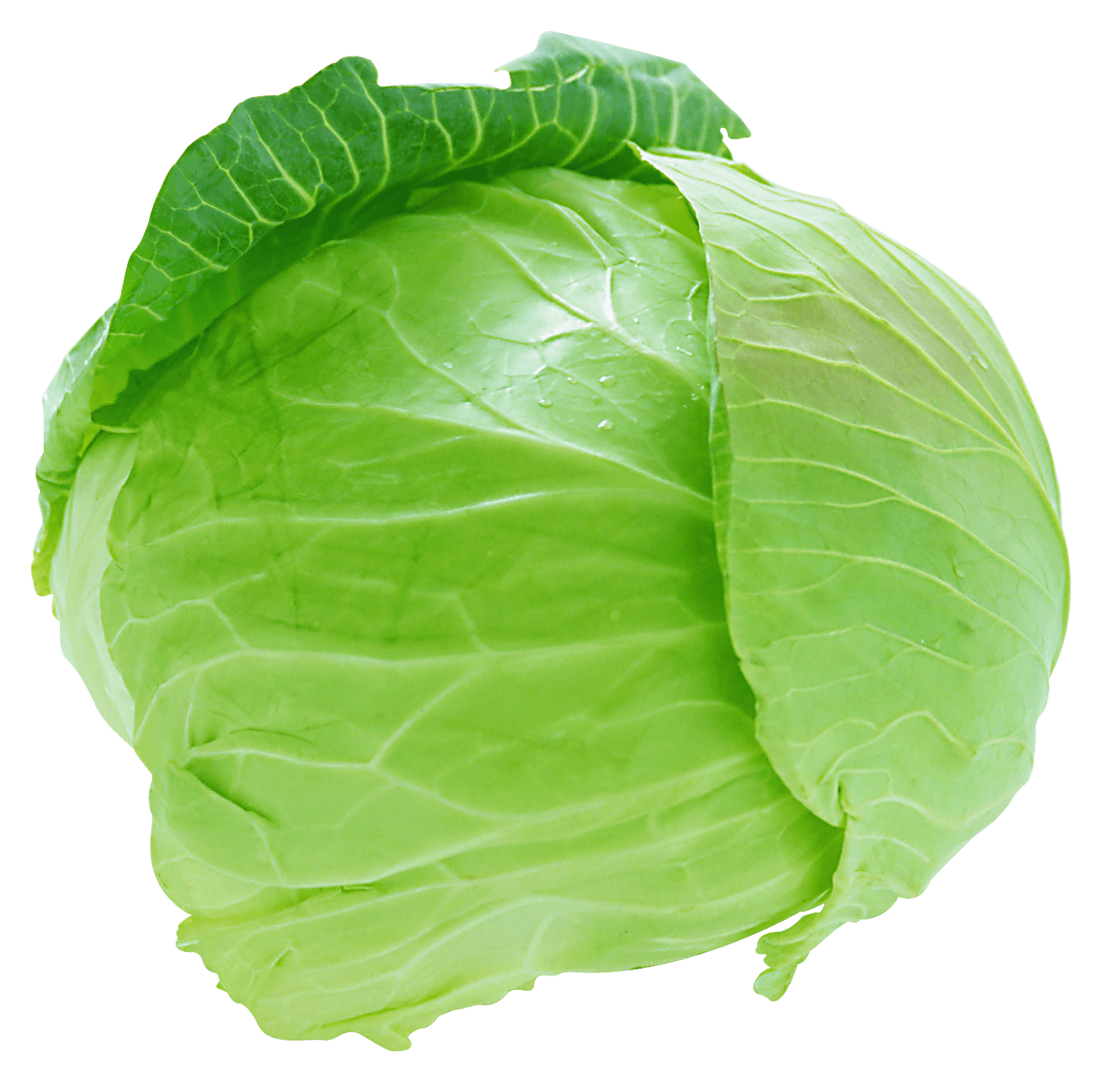 Cabbage Png Image PNG Image