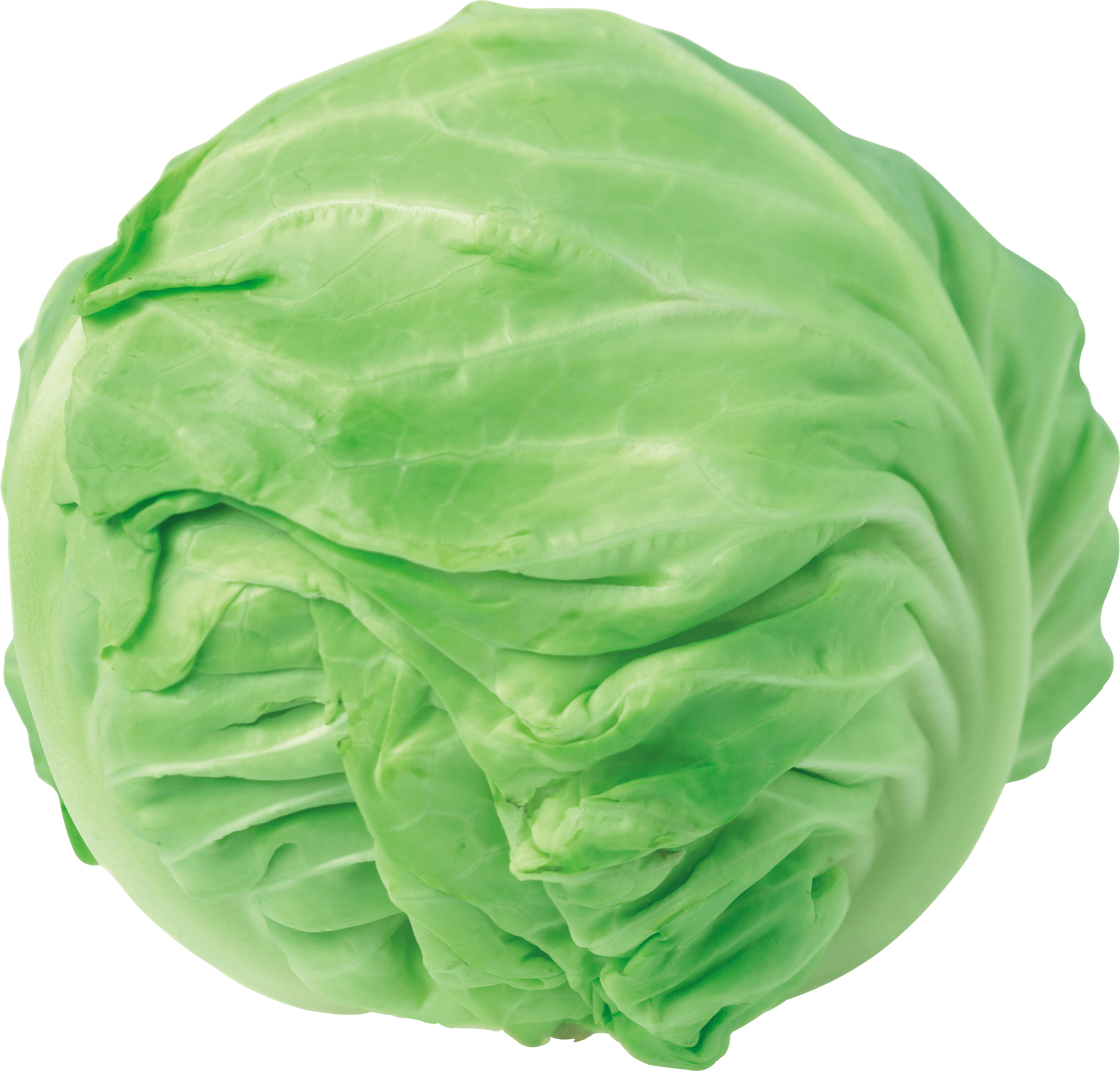 Cabbage Png Image PNG Image