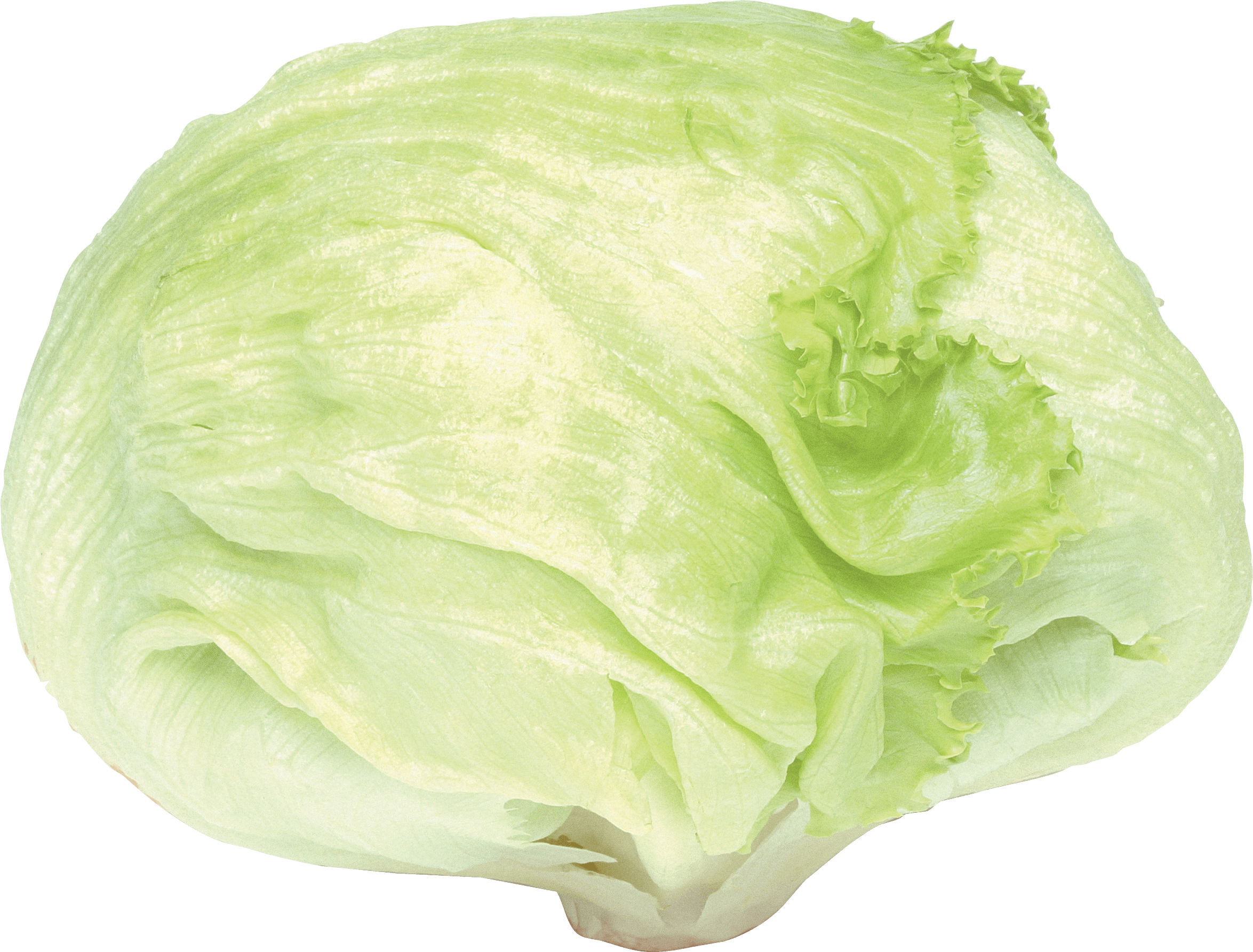 Cabbage Png Image PNG Image