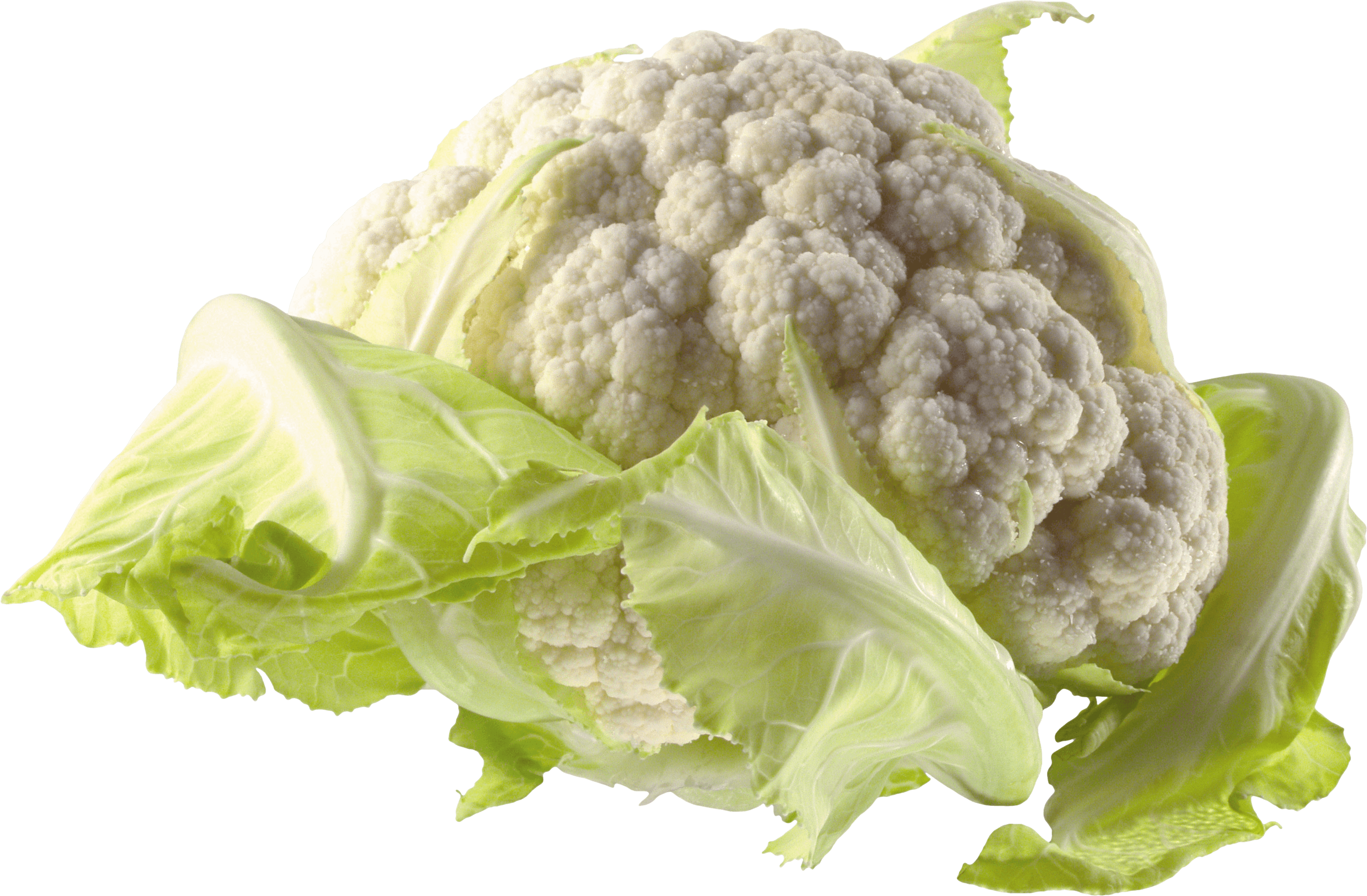 Cauliflower Png Image PNG Image