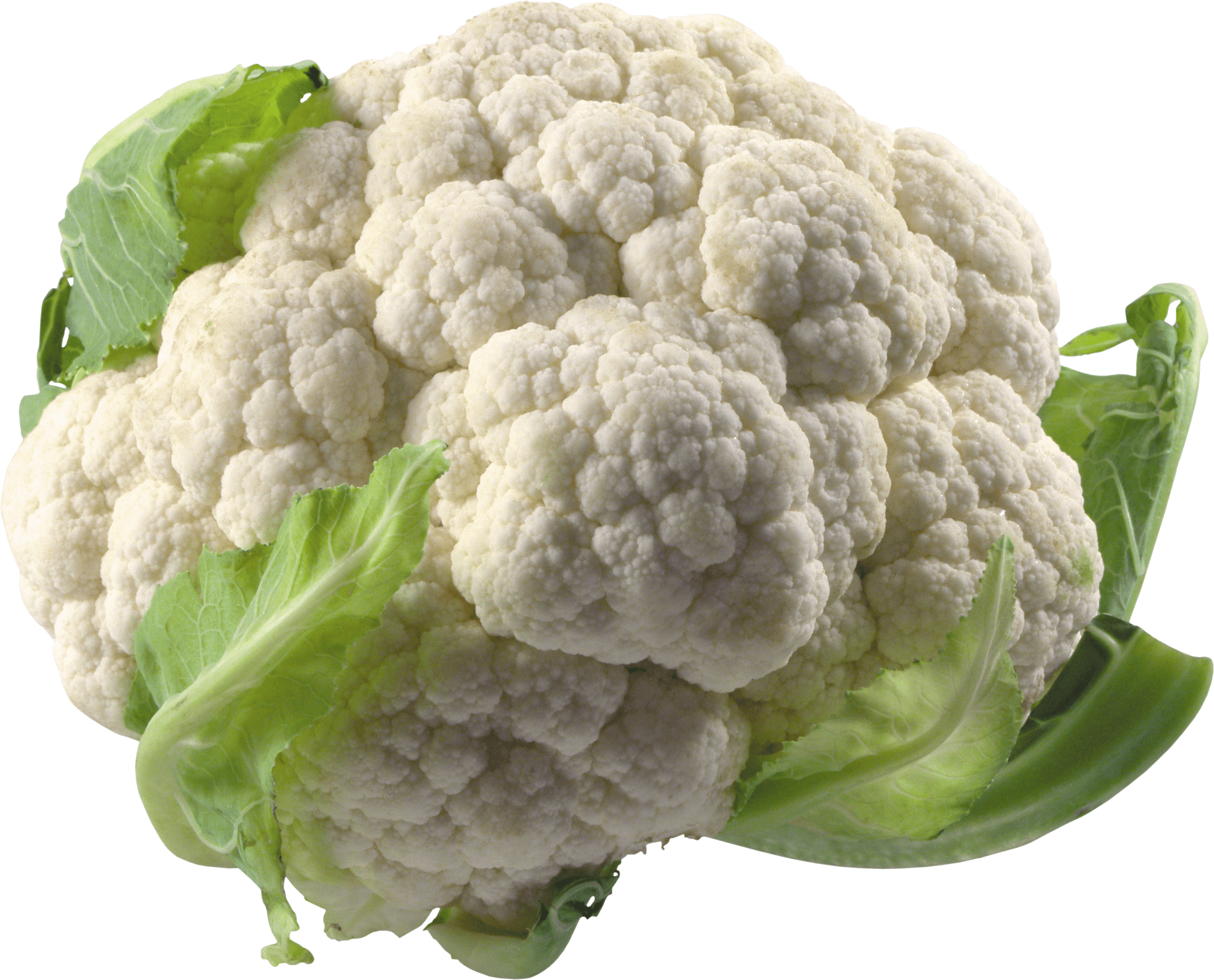 Cabbage Png Image PNG Image