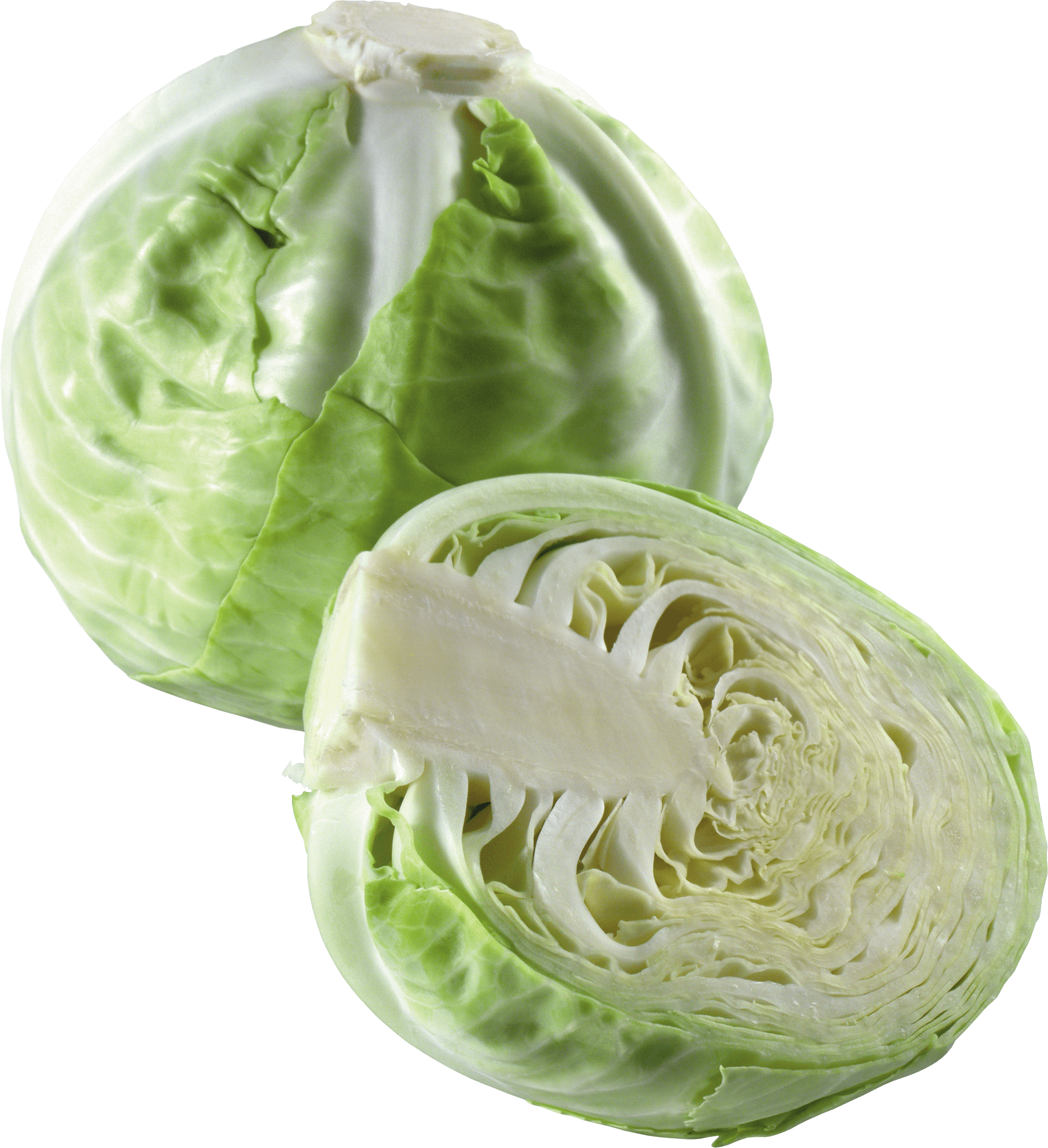 Cabbage Png Image PNG Image