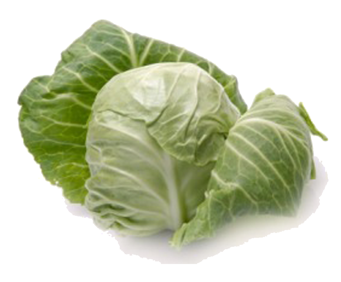 Cabbage PNG Image