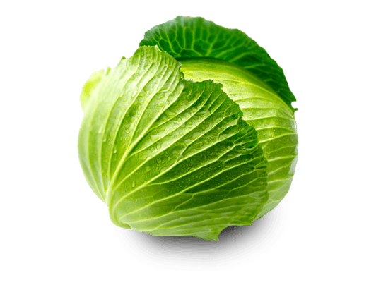 Cabbage Png Image PNG Image