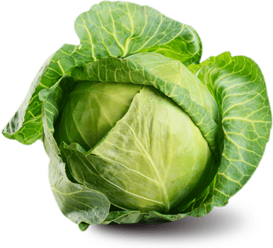 Cabbage Png Image PNG Image