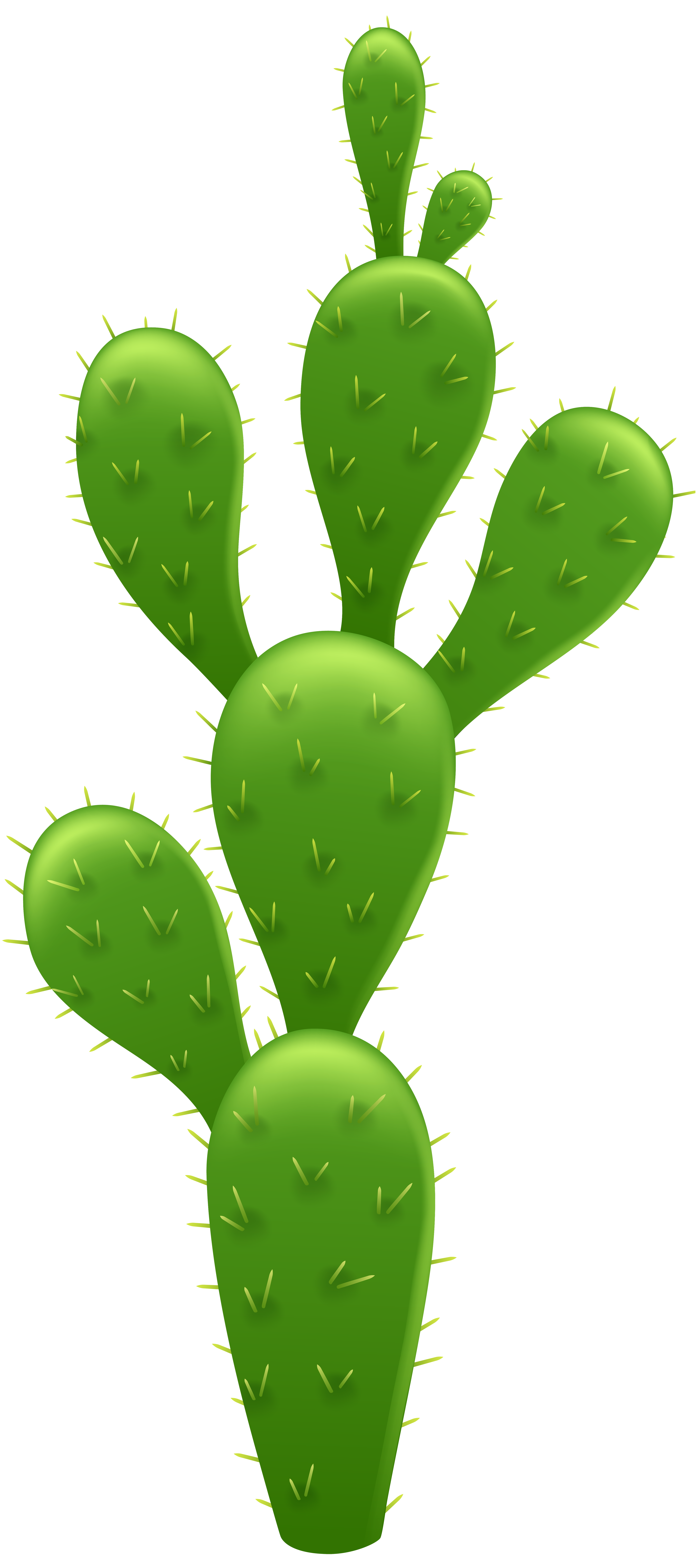 Cactus Prickle Download HD PNG Image