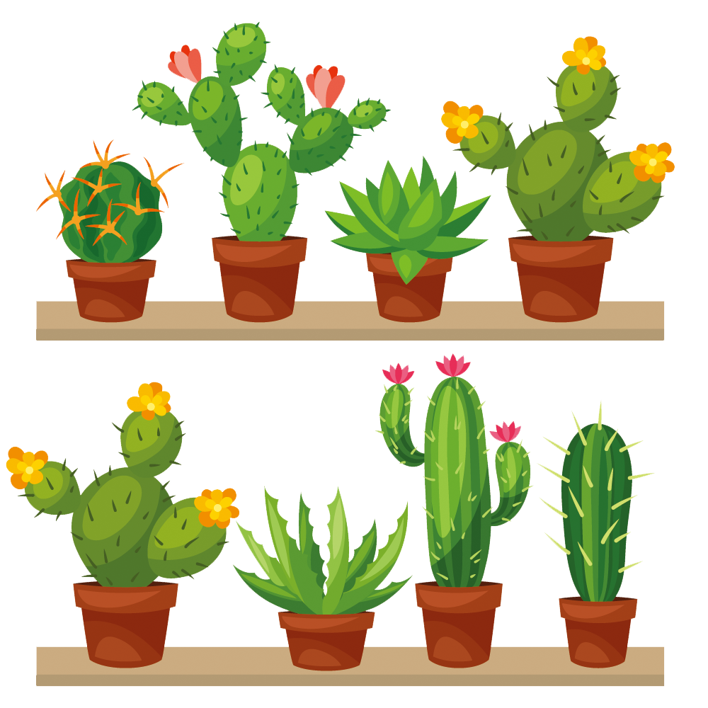 Crossstitch Succulent Plant Photography Cactaceae Stock PNG Image