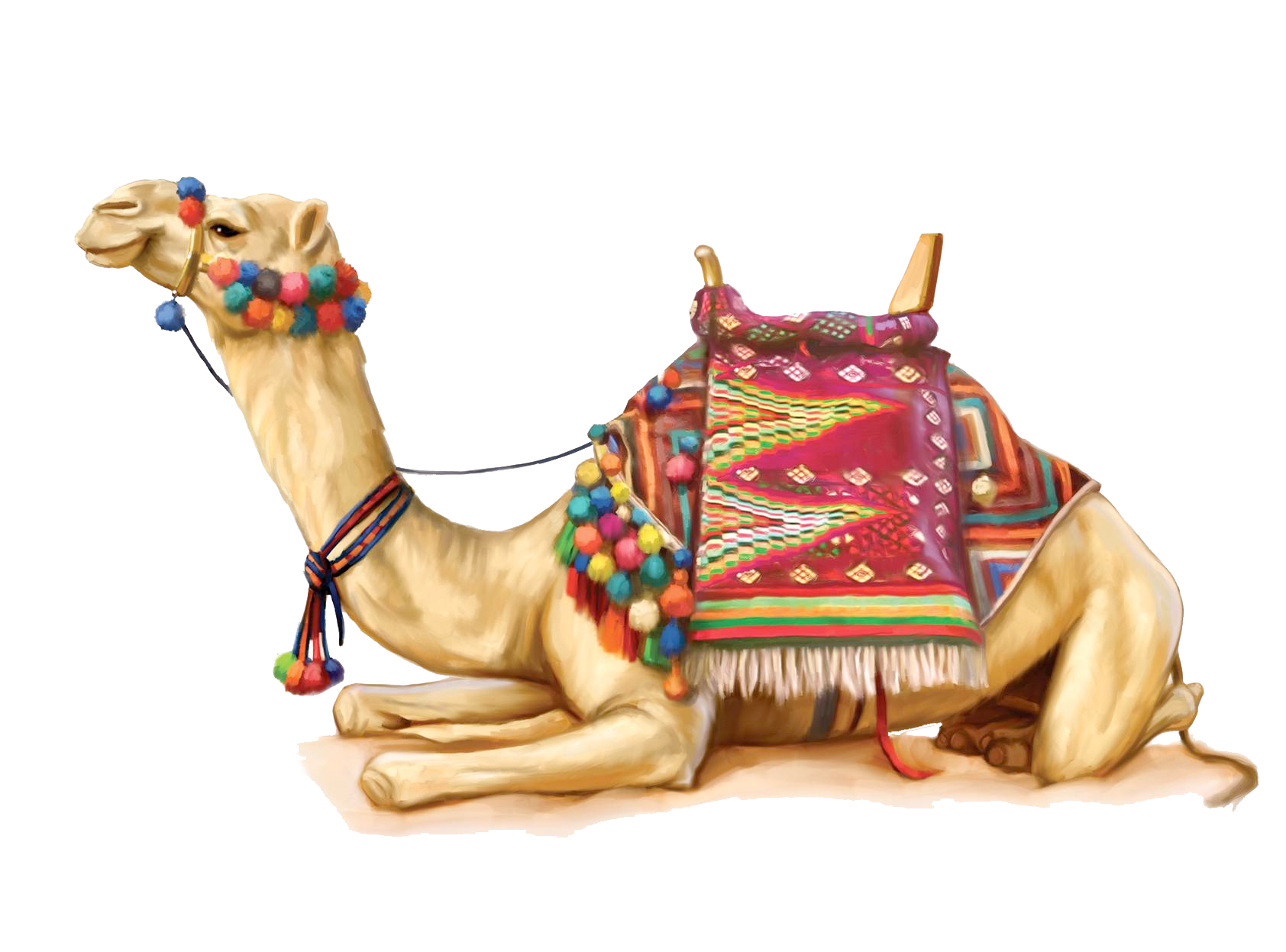 Camel Png 2 PNG Image