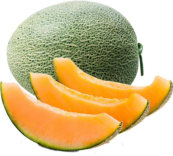 Fresh Cantaloupe Photos PNG File HD PNG Image