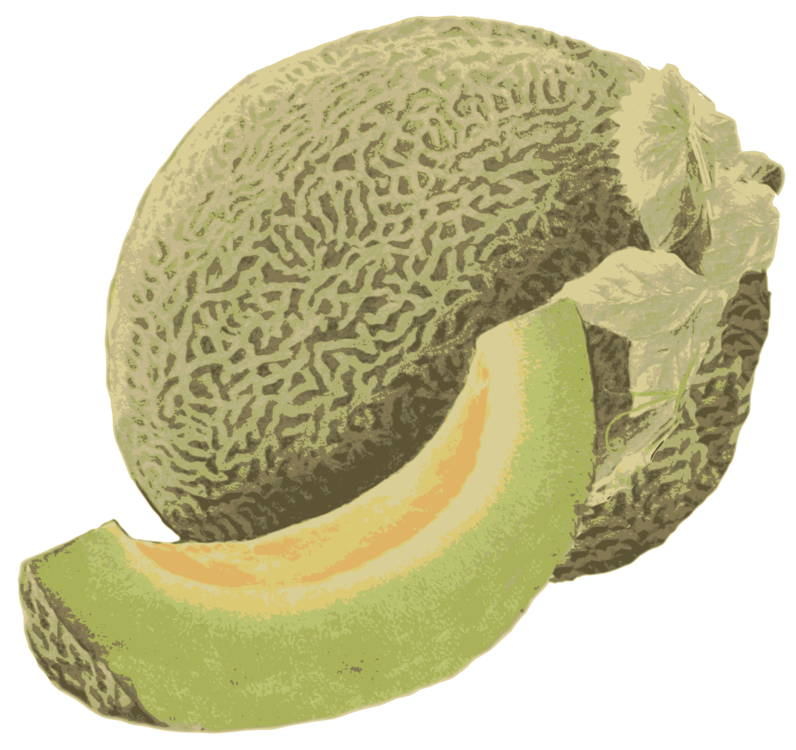 Cantaloupe Green HQ Image Free PNG Image