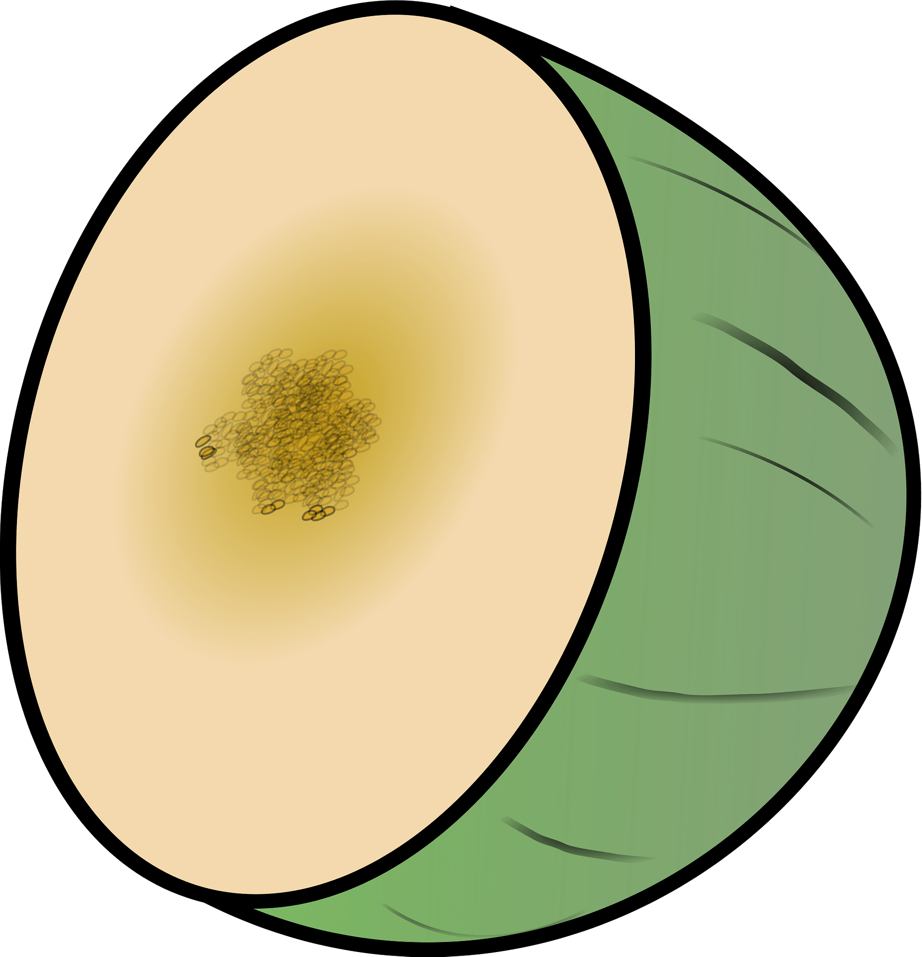 Cantaloupe Green PNG Free Photo PNG Image