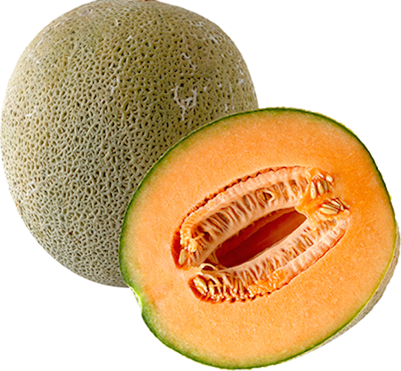 Cantaloupe Half Free Download Image PNG Image