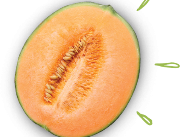 Cantaloupe Half PNG Image High Quality PNG Image