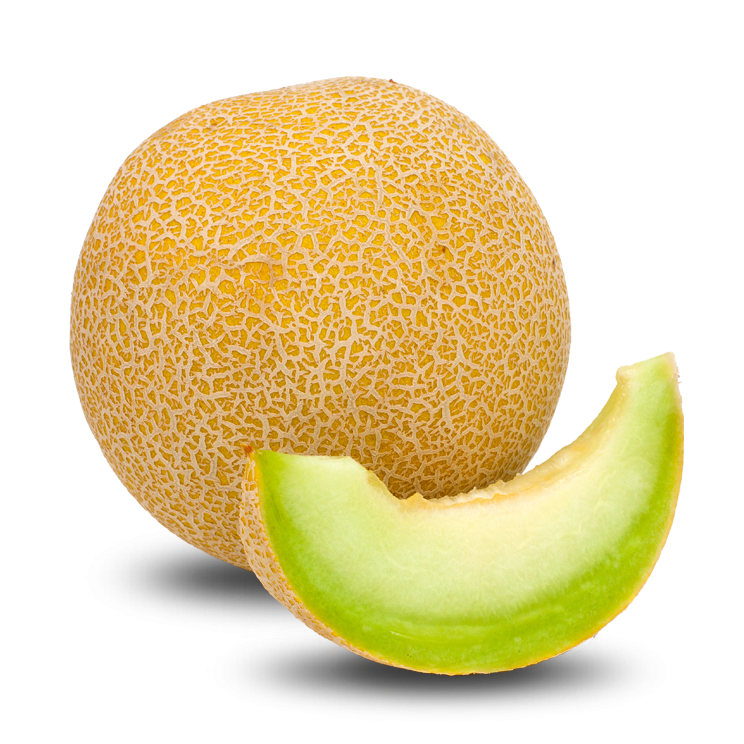 Cantaloupe Yellow HQ Image Free PNG Image