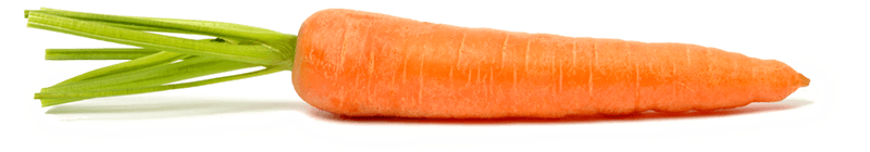 Carrot Png Image PNG Image