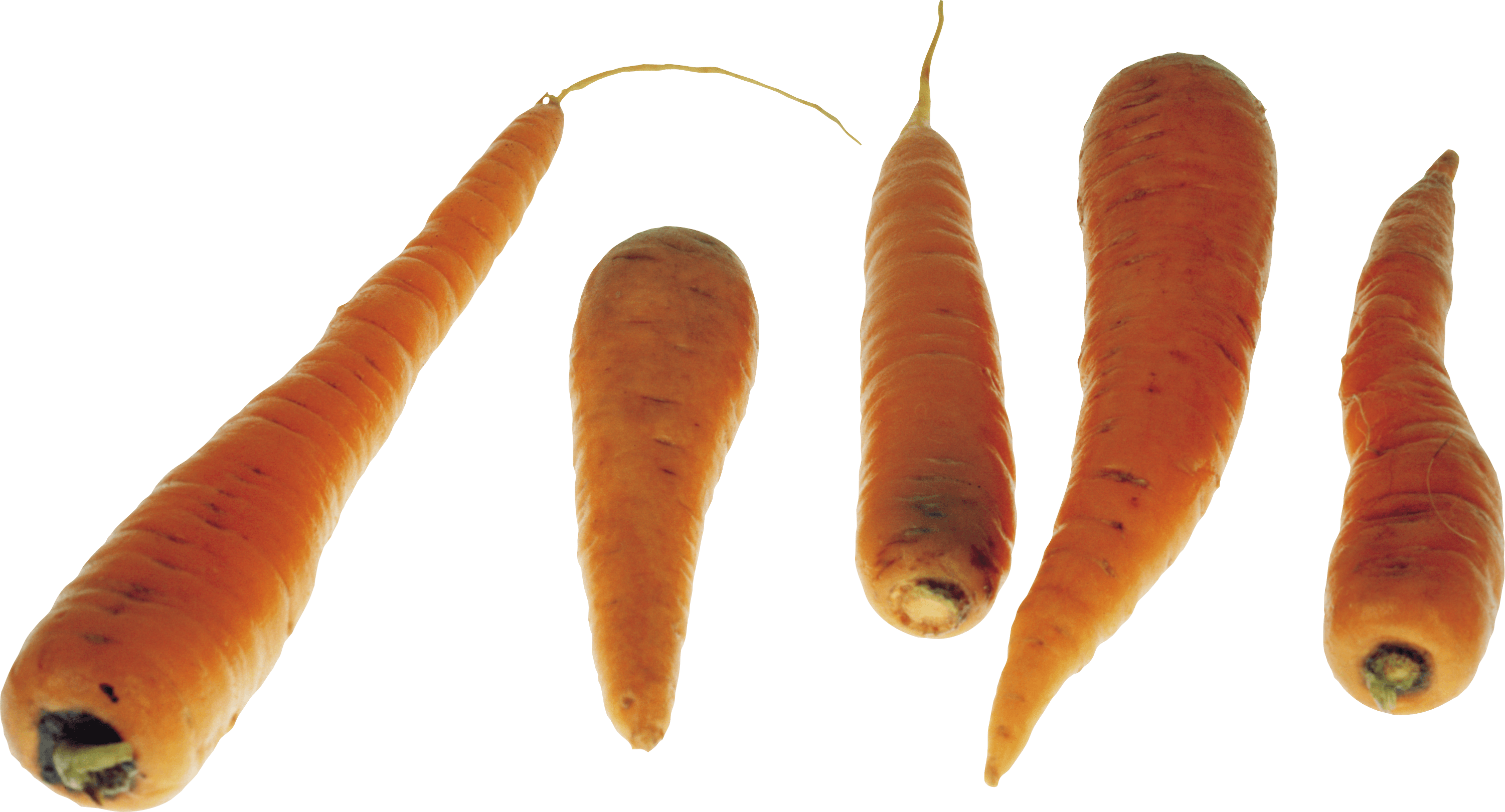 Carrots Png Image PNG Image