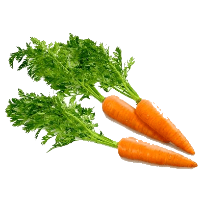 Carrot Png Image PNG Image