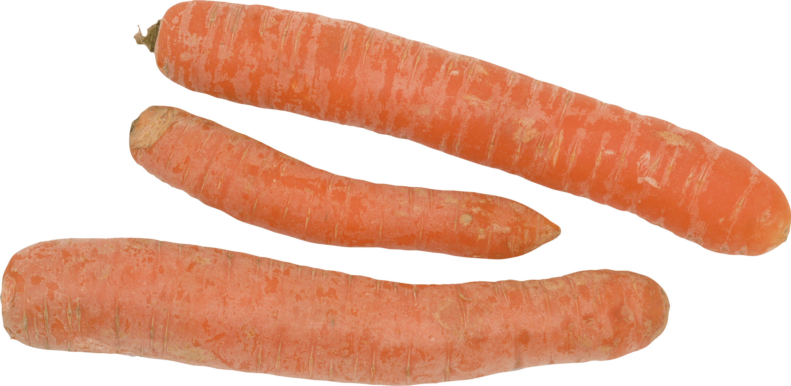 Carrot Png Image PNG Image