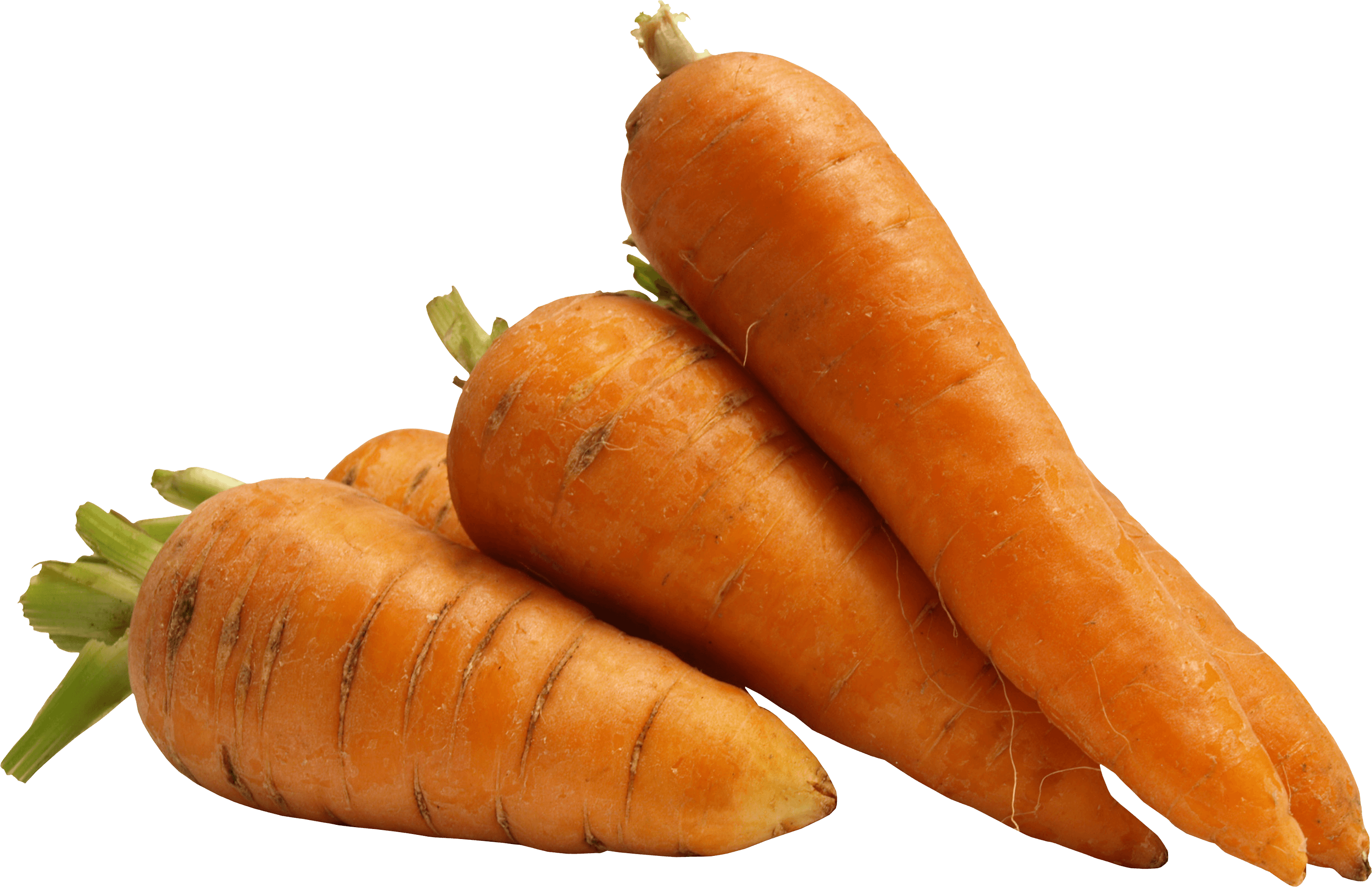 Carrot Png Image PNG Image