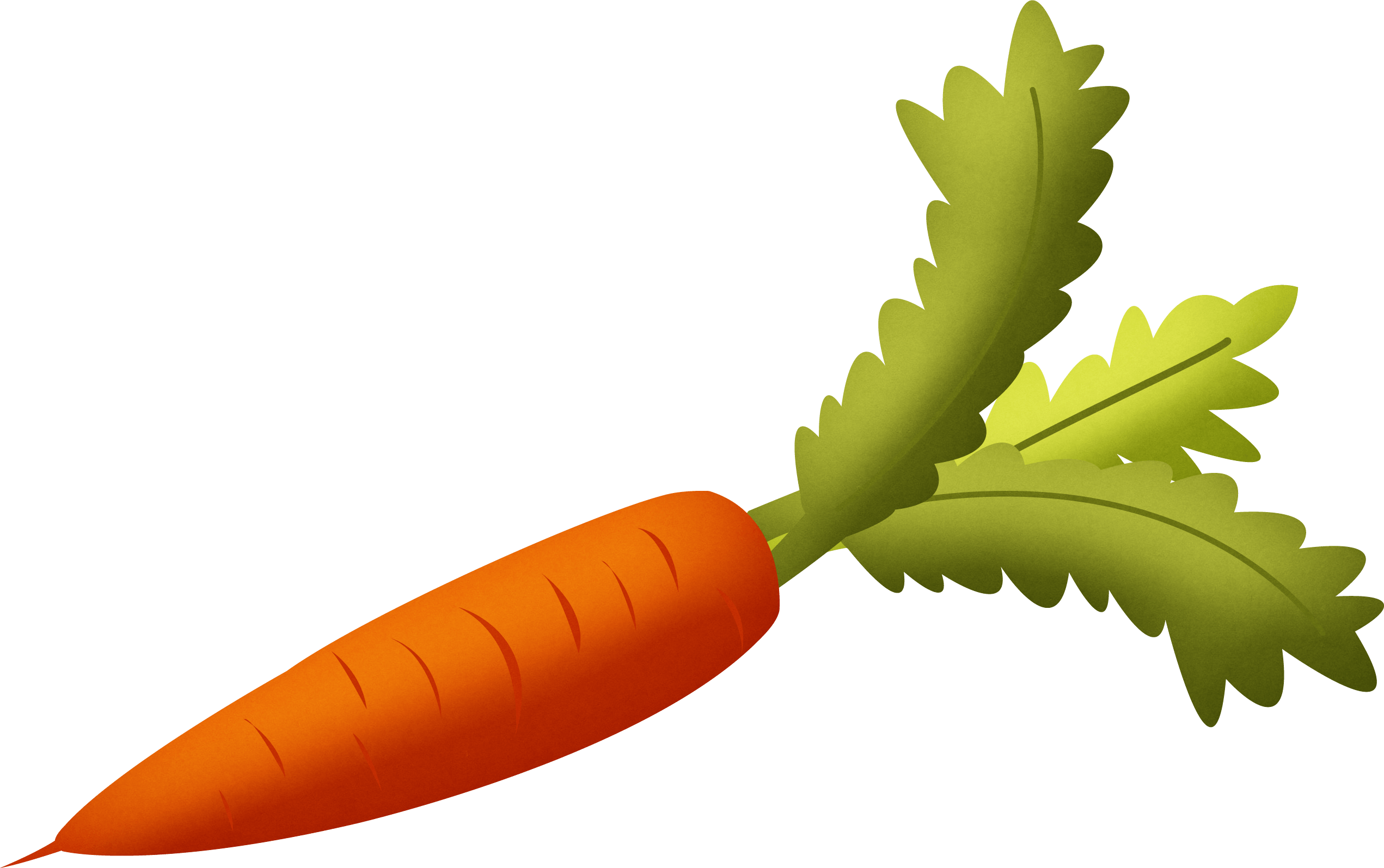 Carrot Png Image PNG Image