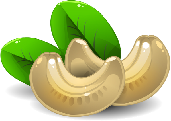 Nut Cashew HQ Image Free PNG Image