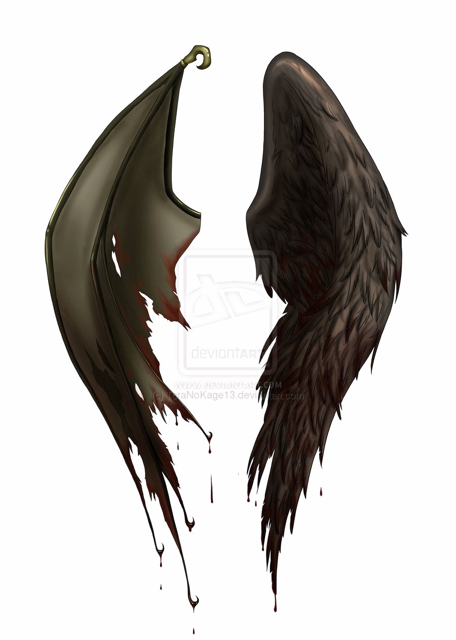 Half Wings Free HD Image PNG Image