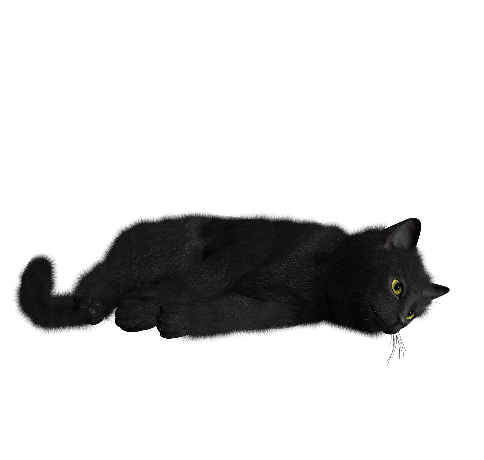 Cat Png Image PNG Image